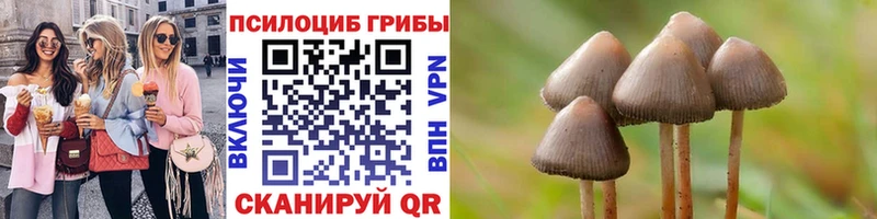 Галлюциногенные грибы Psilocybe  Слободской 