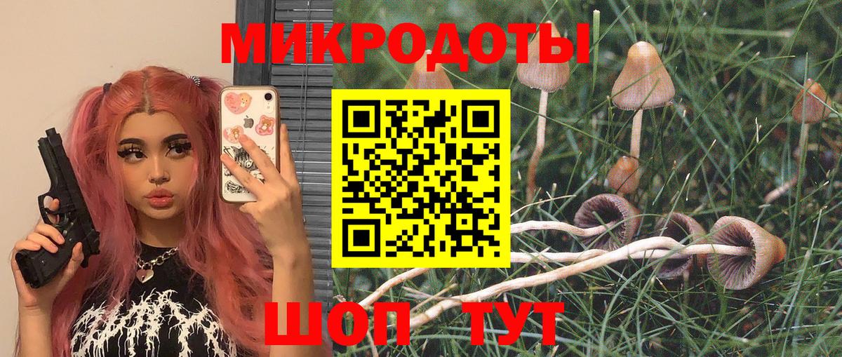 Слободской  Псилоцибиновые грибы GOLDEN TEACHER  Вход с VPN 