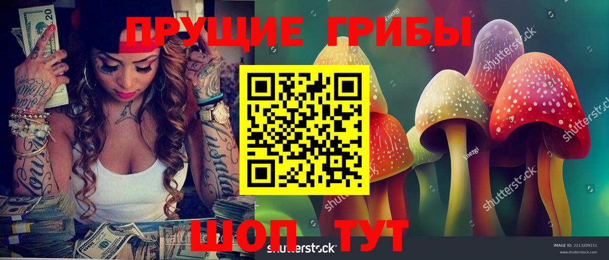 Галлюциногенные грибы Psilocybe Слободской